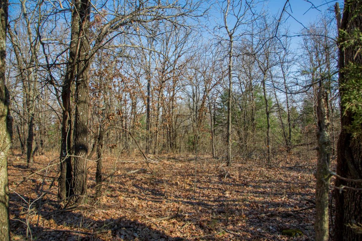 Decorative background for Eufaula Cove Tract 19 image 13
