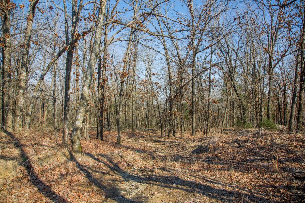 Decorative background for Eufaula Cove Tract 19 image 16
