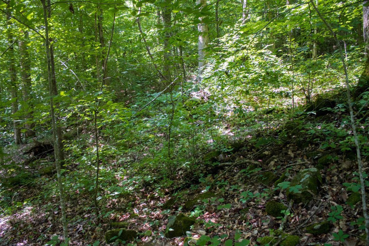 Decorative background for Bluewater Ridge Tract 12 image 10