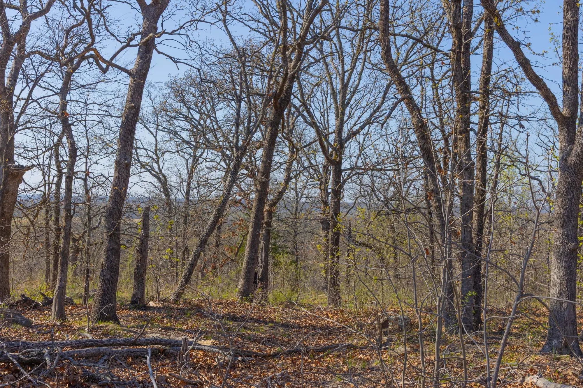JLH Estates Tract 22 in Okfuskee County, OK