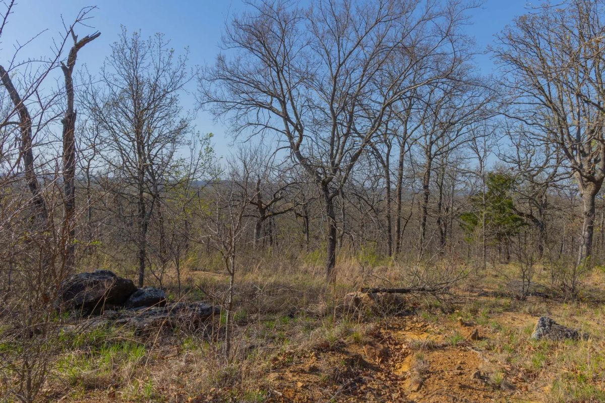 JLH Estates Tract 22 - Image 3
