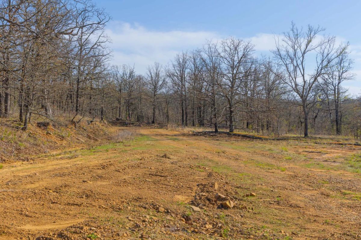 Decorative background for JLH Estates Tract 22 image 5