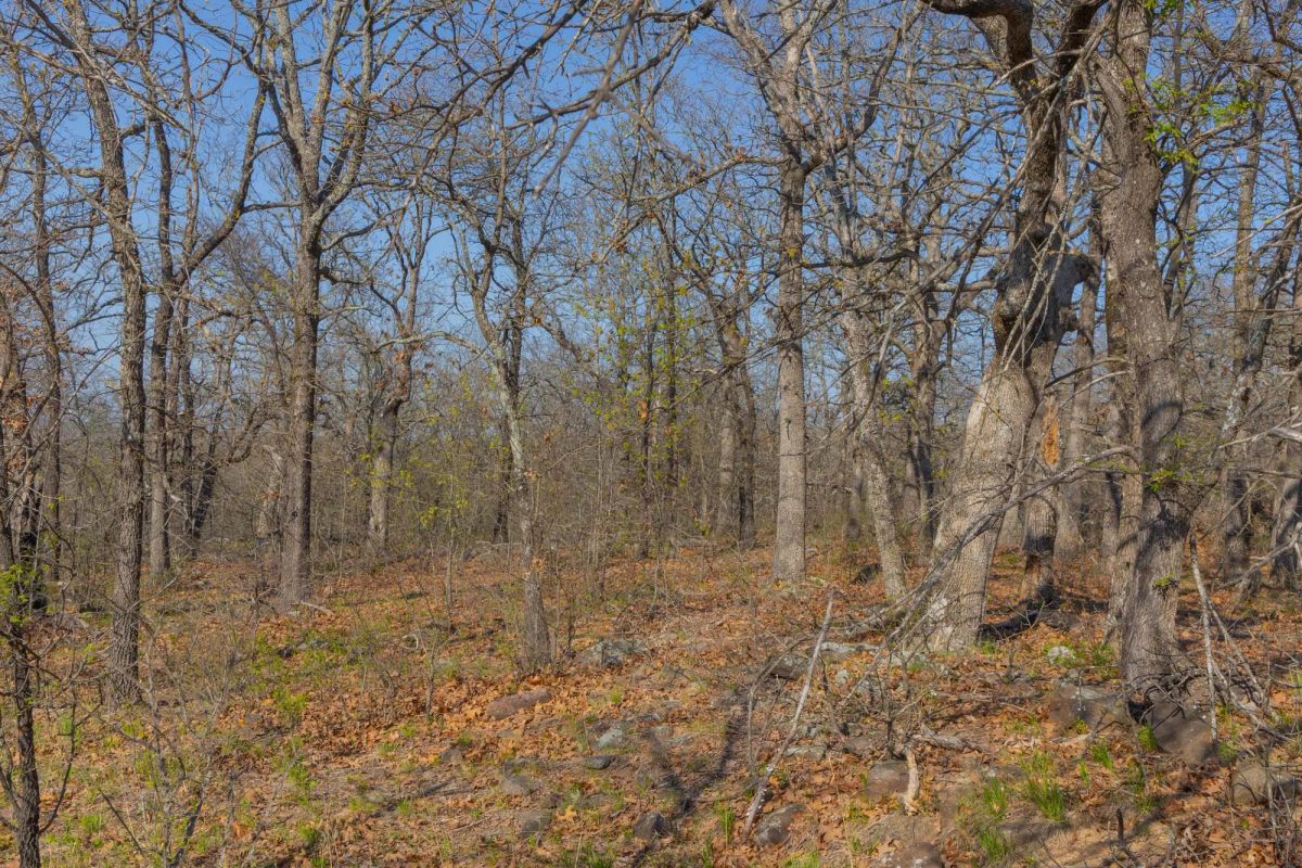 Decorative background for JLH Estates Tract 22 image 7