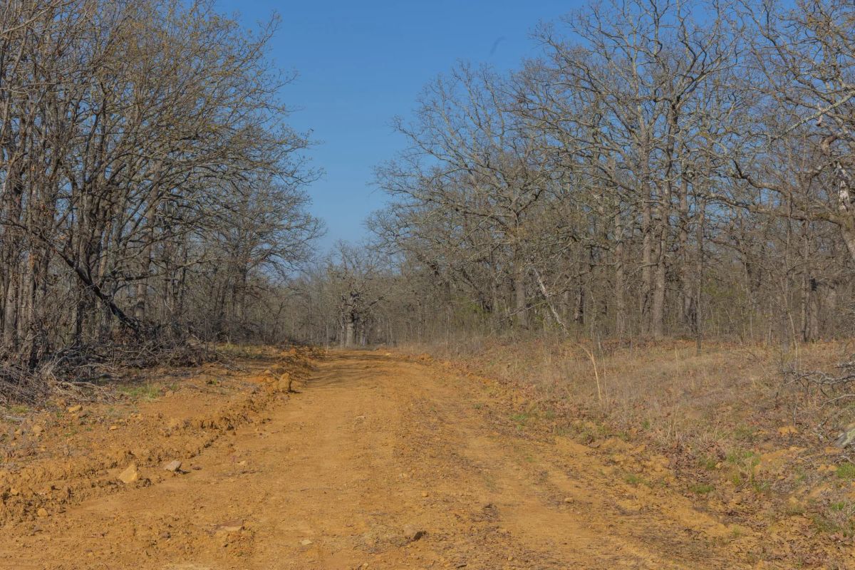 Decorative background for JLH Estates Tract 22 image 9