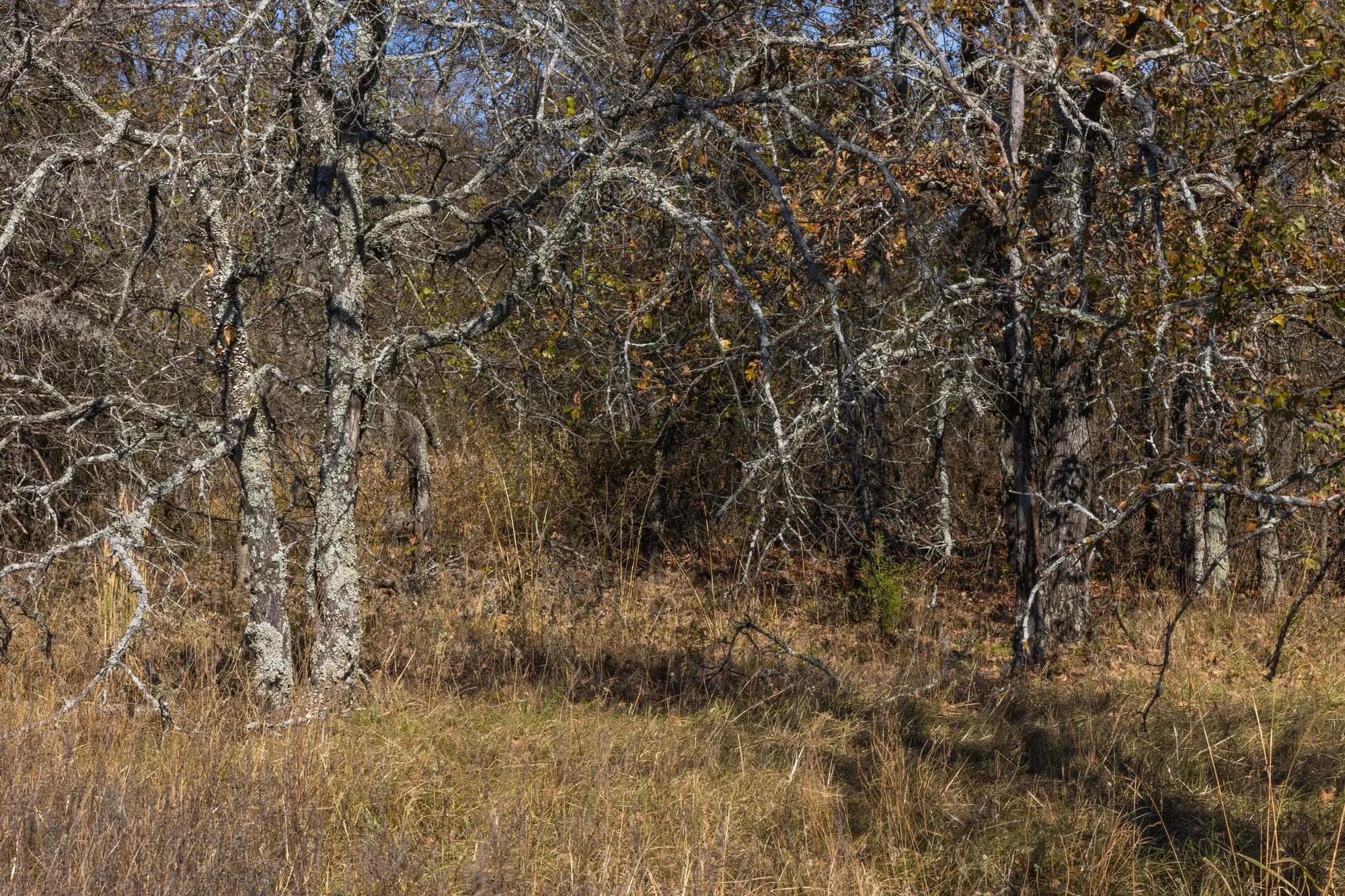 Harmony Hills Tract 36 in Pittsburg County, OK