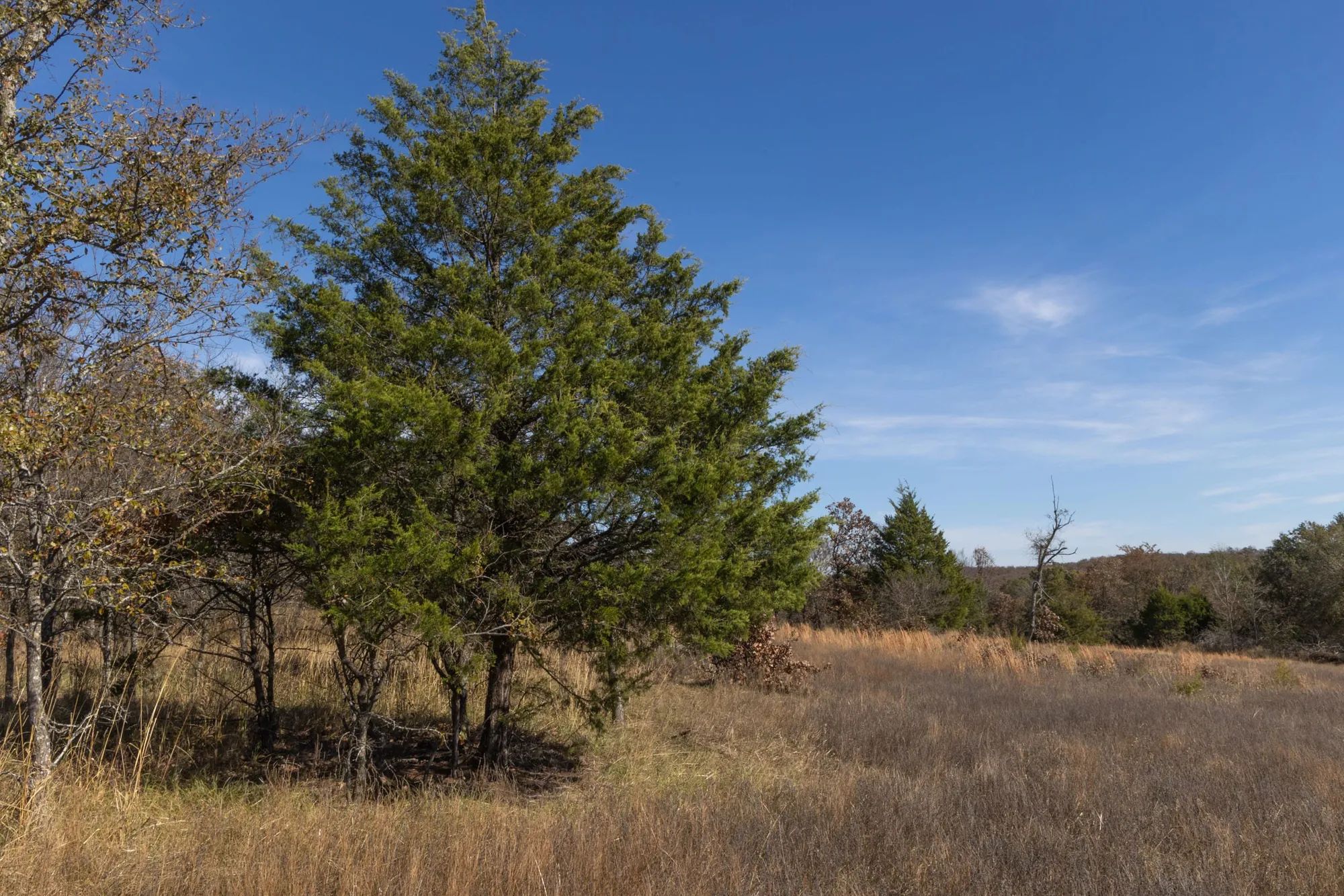 Harmony Hills Tract 36 in Pittsburg County, OK