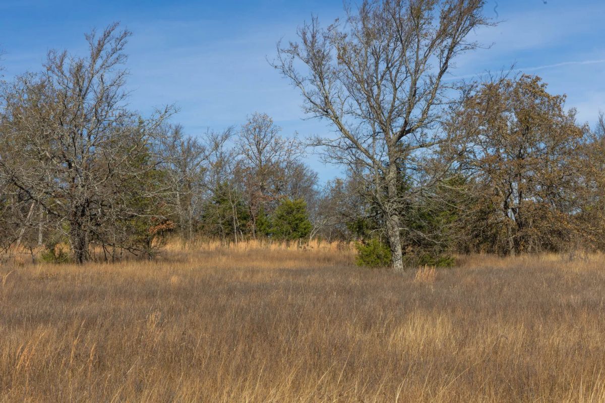 Decorative background for Harmony Hills Tract 36 image 7