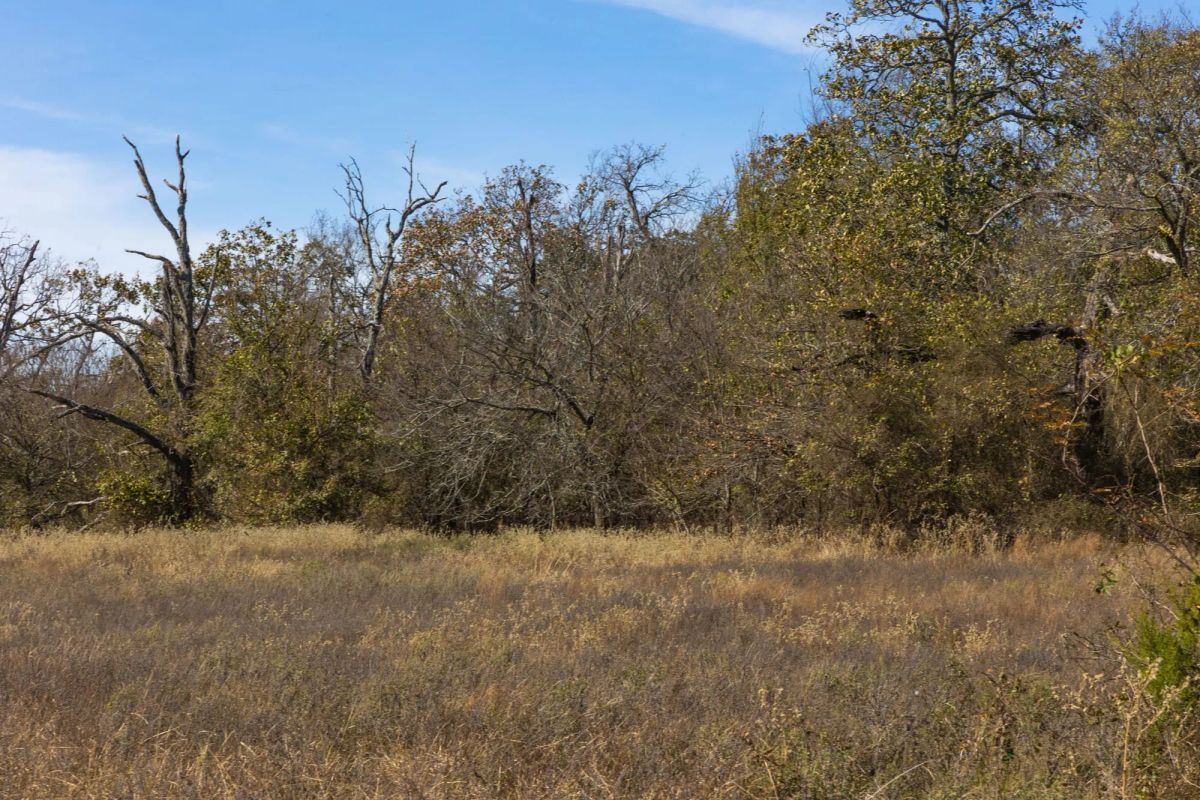 Decorative background for Harmony Hills Tract 36 image 8