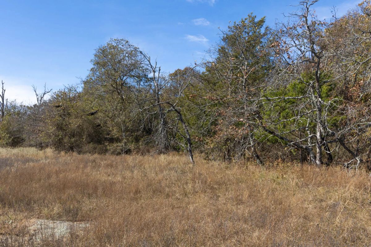 Decorative background for Harmony Hills Tract 36 image 9
