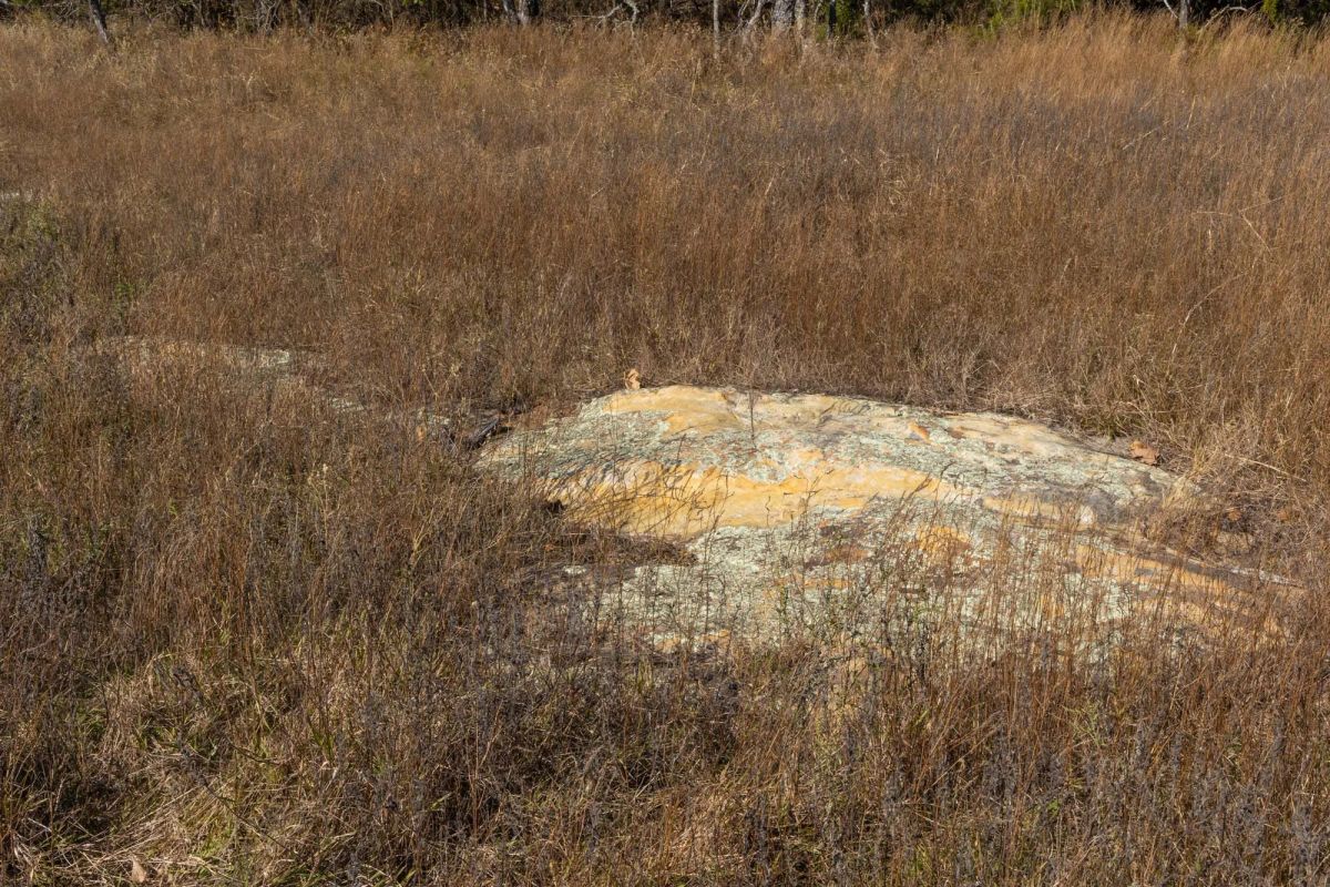 Decorative background for Harmony Hills Tract 36 image 11