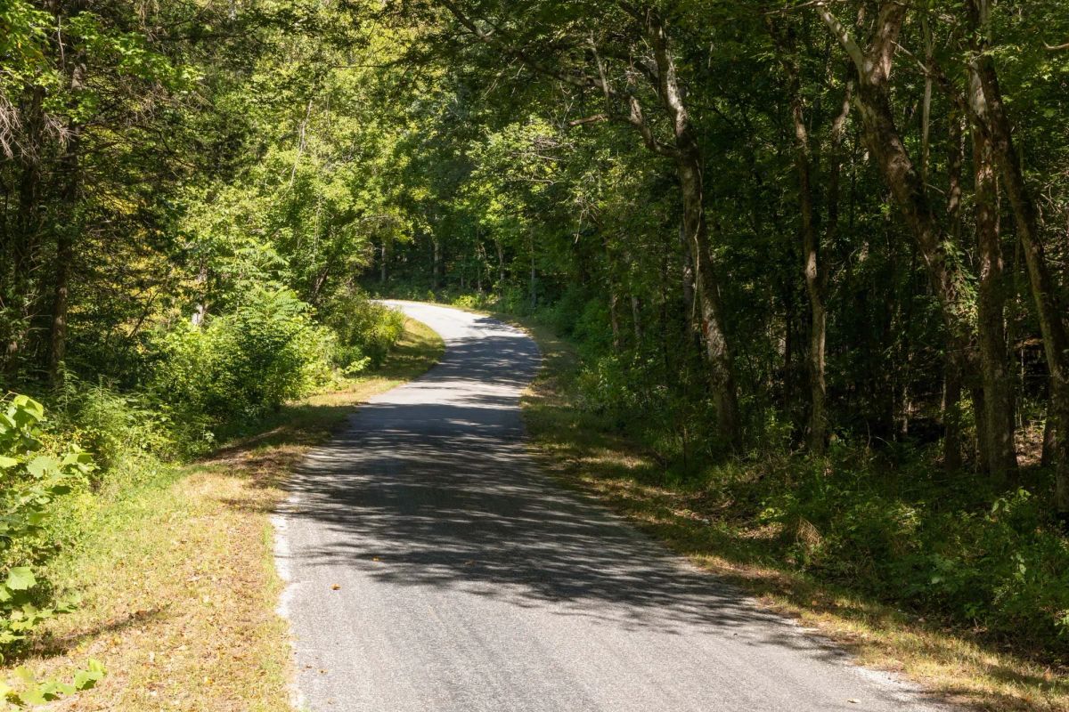 Decorative background for Big White Oak Tract 16 image 7