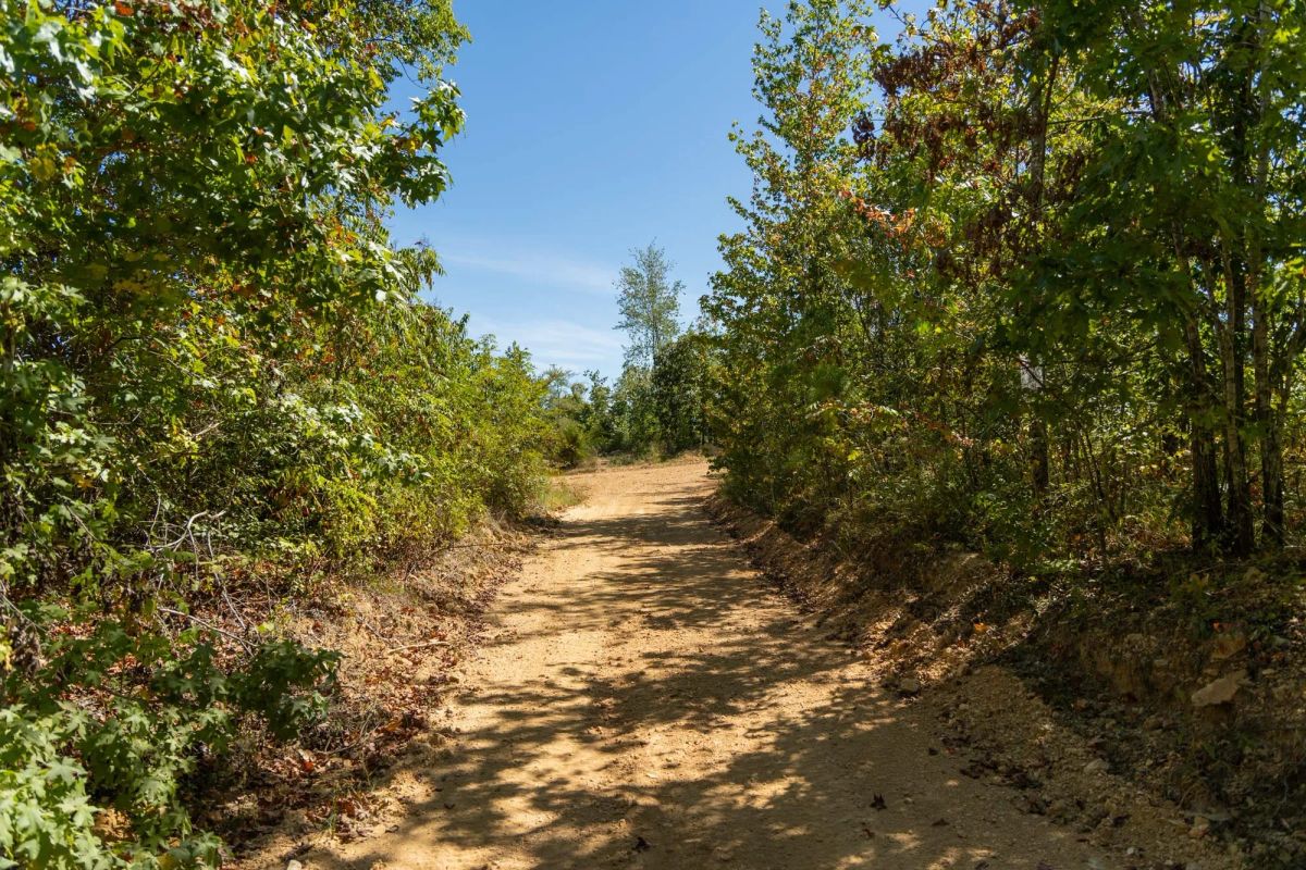 Decorative background for Big White Oak Tract 16 image 9