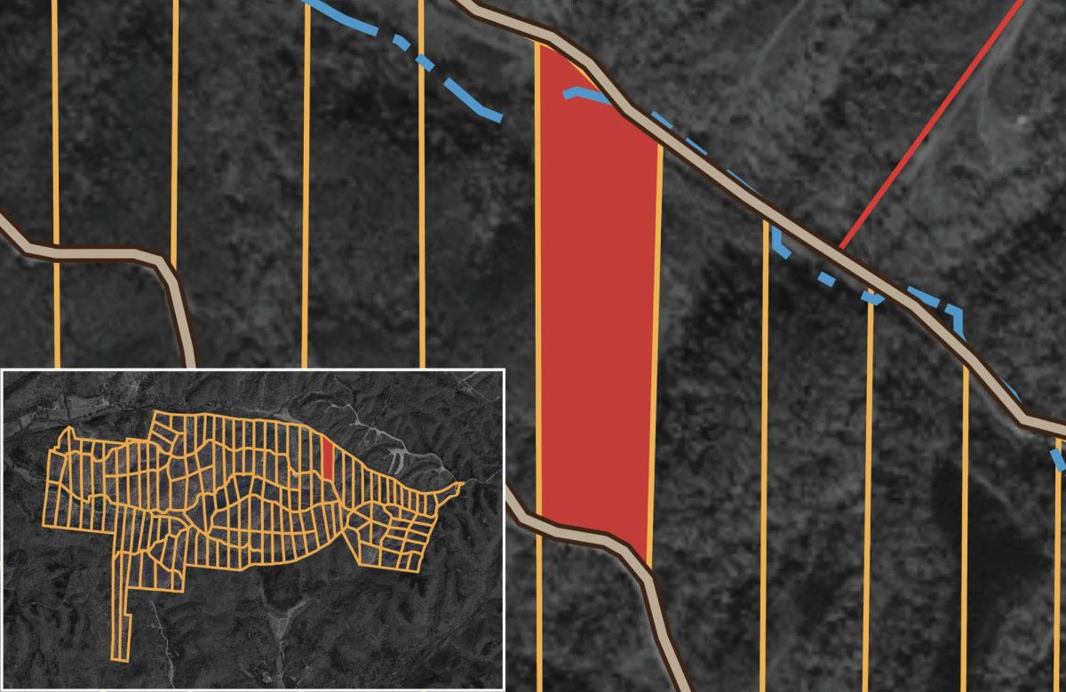 Decorative background for Big White Oak Tract 16 image 10