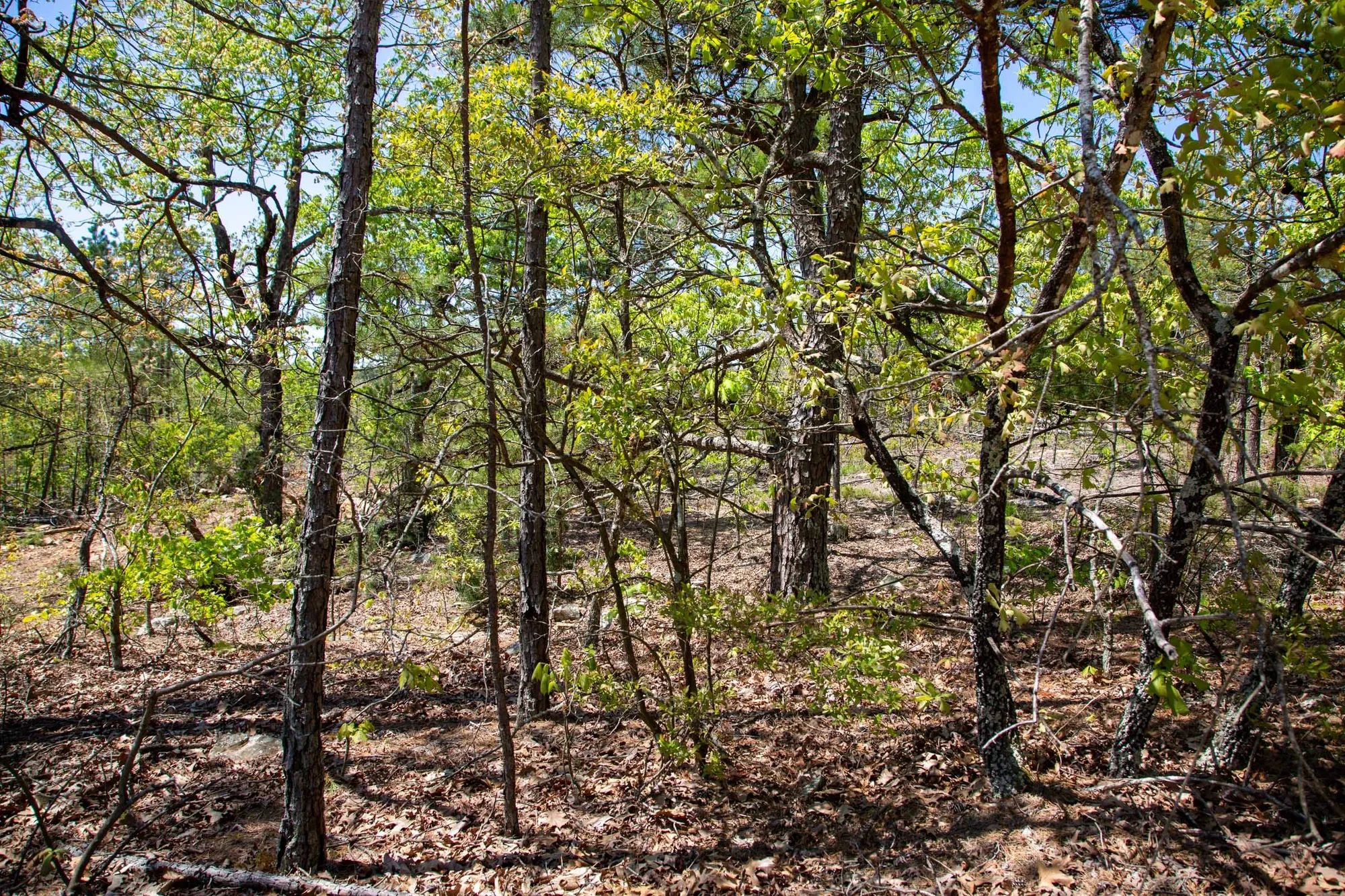 Eagle’s Nest Tract 24 in Pushmataha County, OK