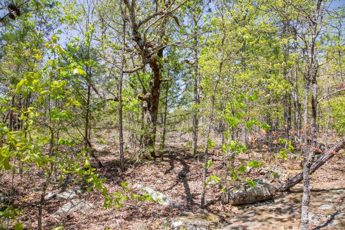 Decorative background for Eagle’s Nest Tract 24 image 7