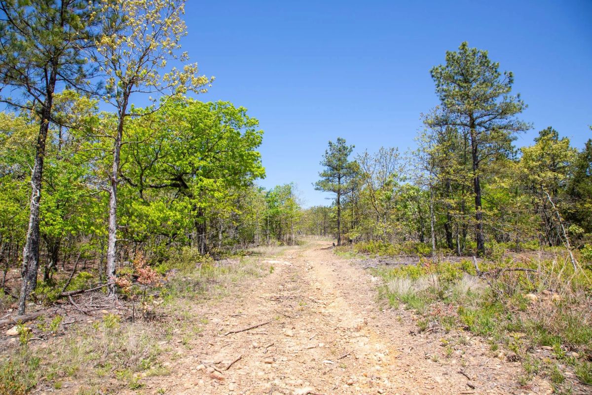 Decorative background for Eagle’s Nest Tract 24 image 9