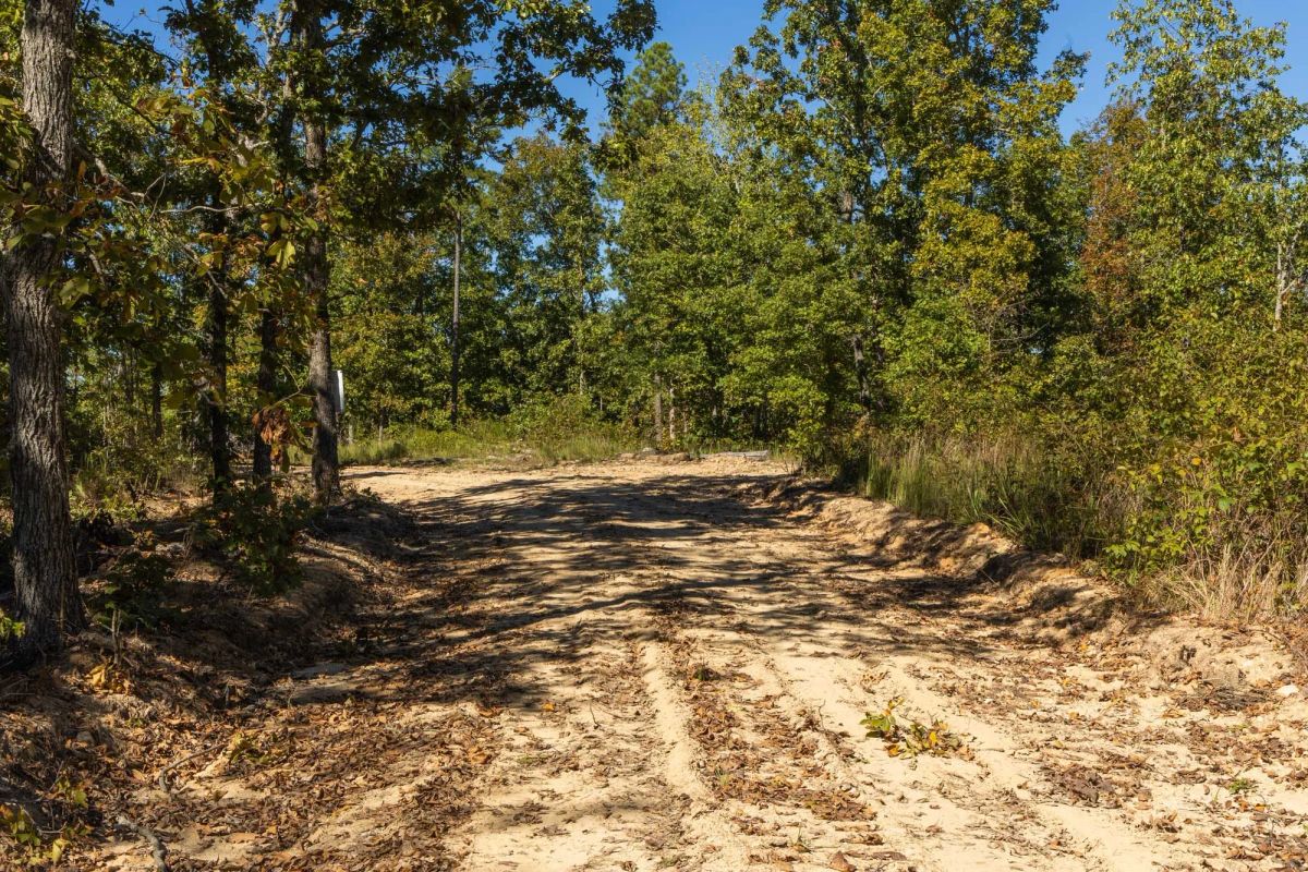 Decorative background for Fox Hollow Tract 5 image 5