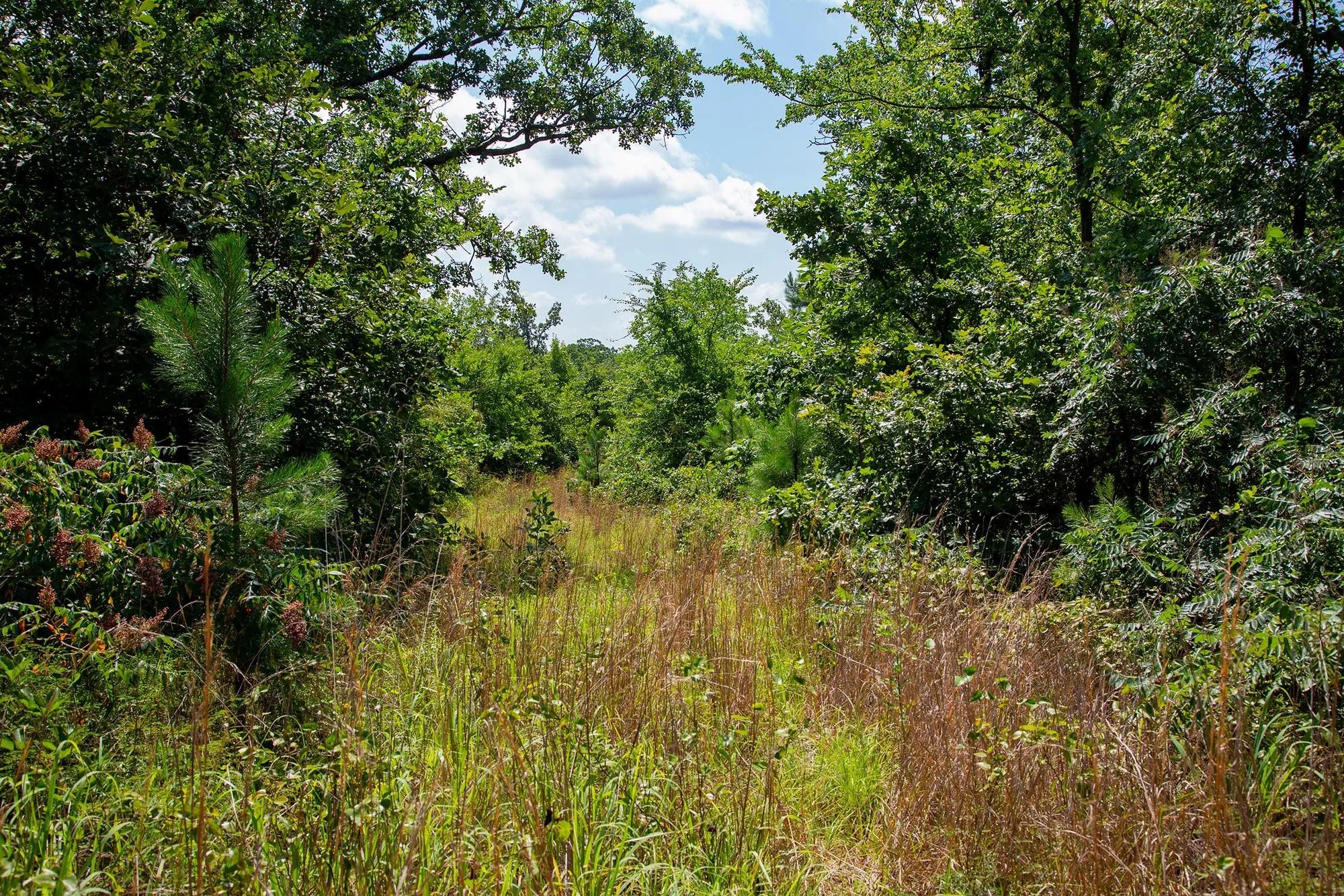 Tyler Stone Ranch Tract 74 in Le Flore County, OK