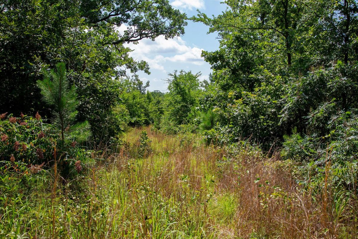 Tyler Stone Ranch Tract 74 - Main image