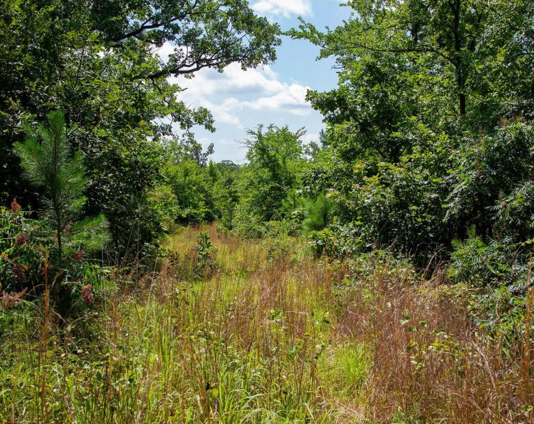 Tyler Stone Ranch Tract 74 in Le Flore County, OK