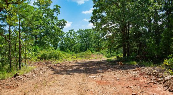 Tyler Stone Ranch Tract 74 in Le Flore County, OK