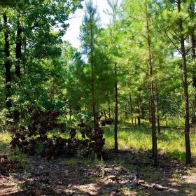 Tyler Stone Ranch Tract 74 in Le Flore County, OK
