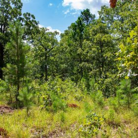Tyler Stone Ranch Tract 74 in Le Flore County, OK