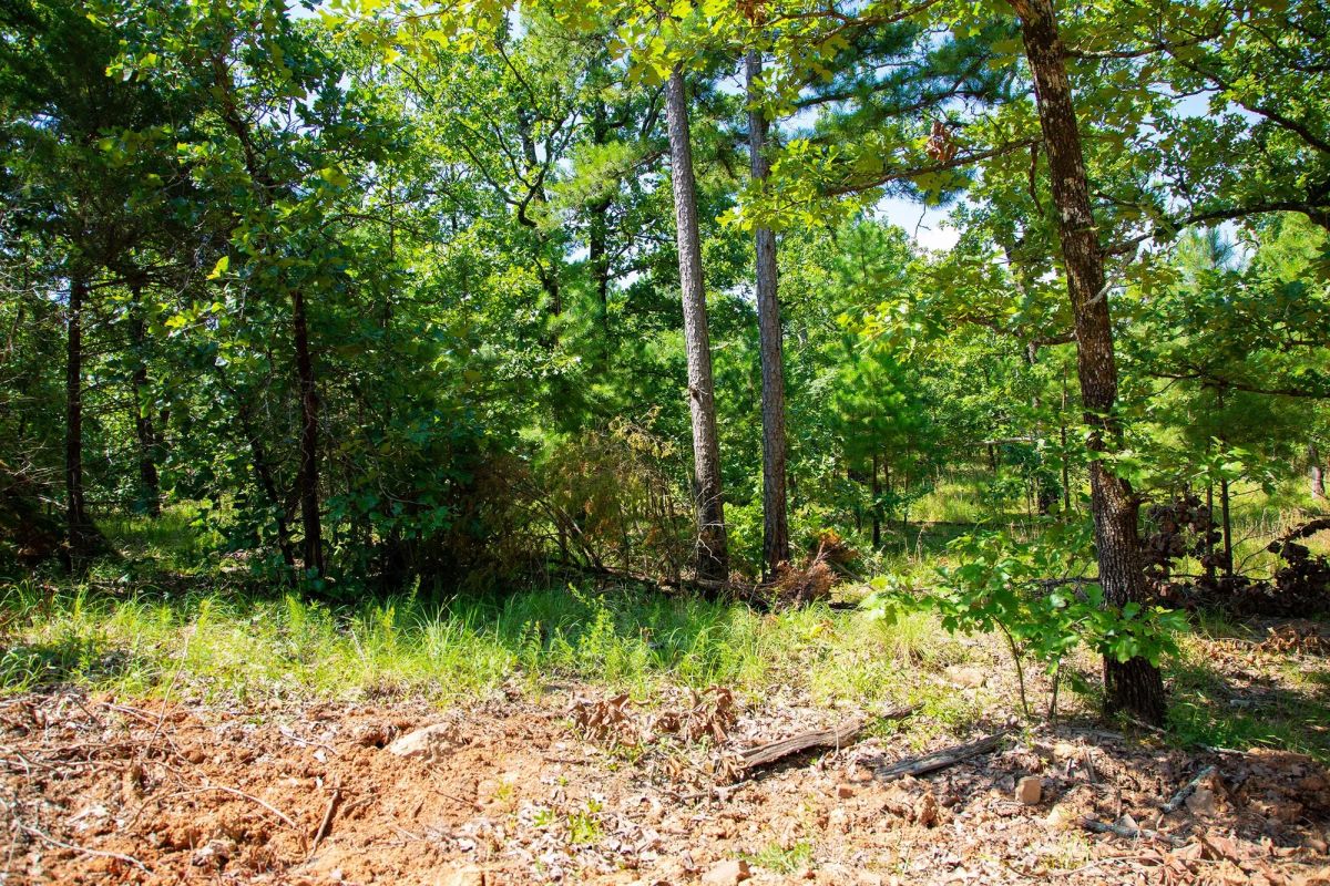 Decorative background for Tyler Stone Ranch Tract 74 image 5