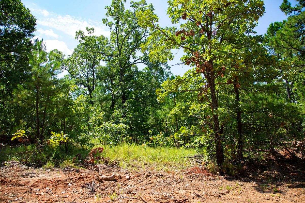 Decorative background for Tyler Stone Ranch Tract 74 image 7