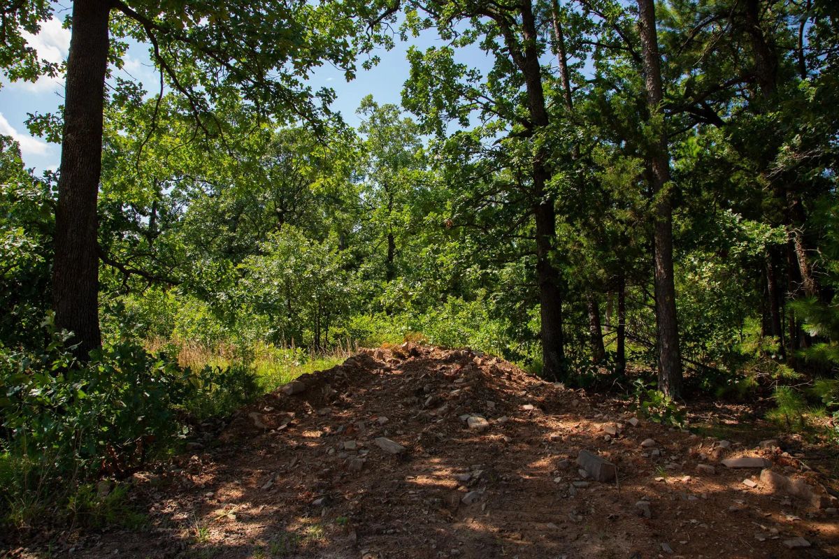 Decorative background for Tyler Stone Ranch Tract 74 image 9