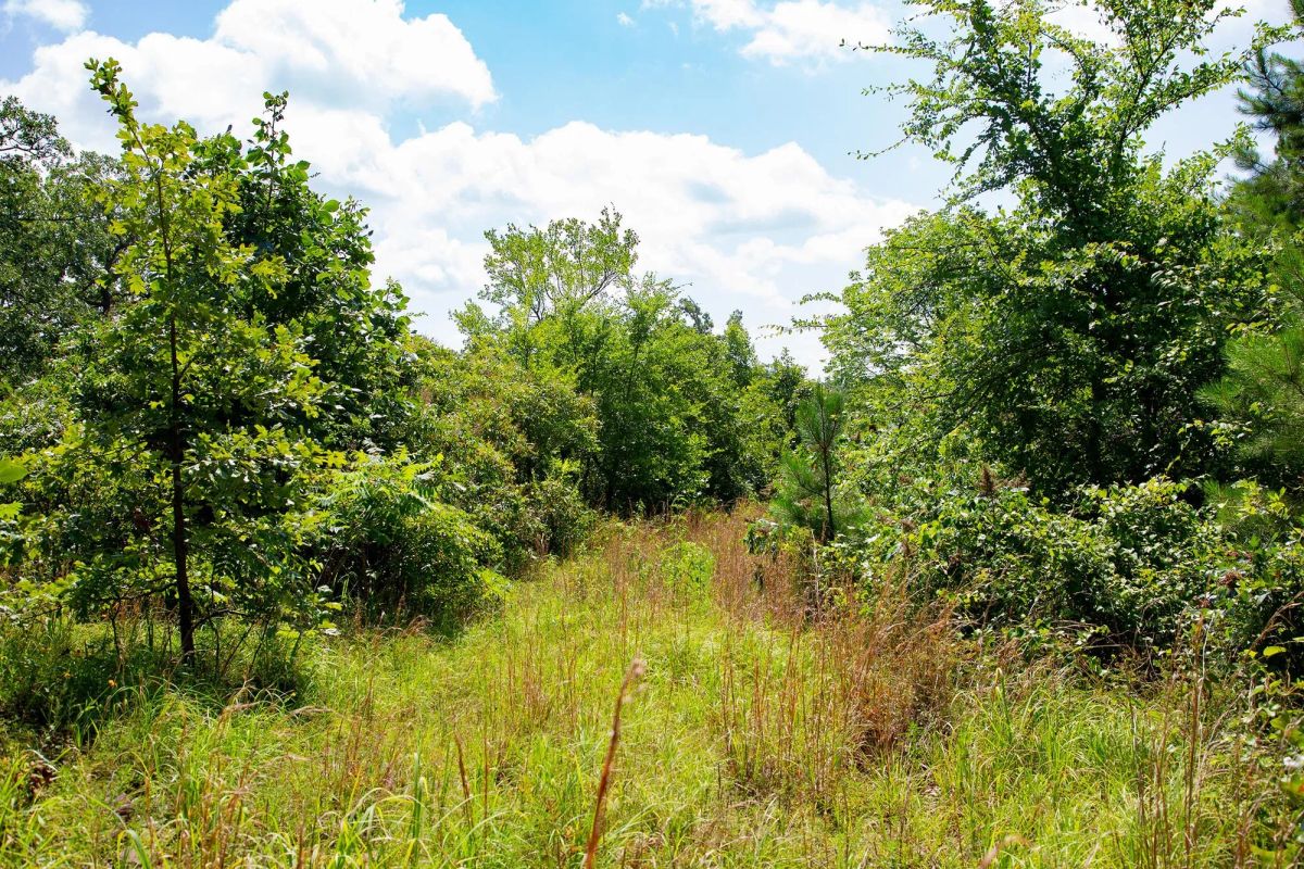 Decorative background for Tyler Stone Ranch Tract 74 image 12