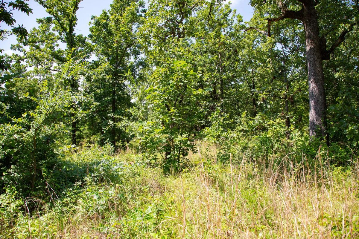 Decorative background for Tyler Stone Ranch Tract 74 image 13