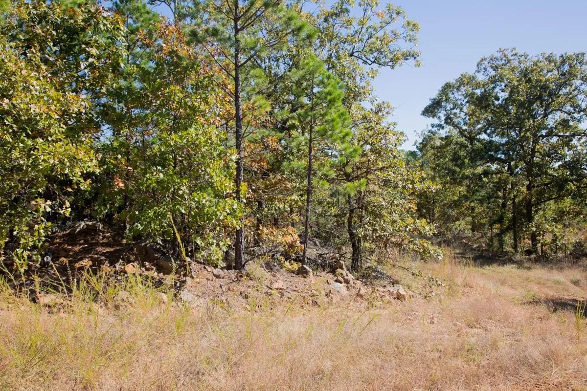 Stone Creek Phase I Tract 173 in Latimer County, OK