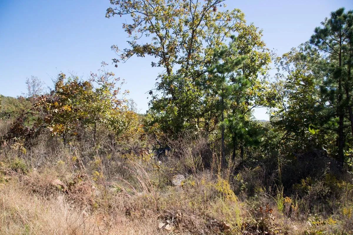 Stone Creek Phase I Tract 173 in Latimer County, OK