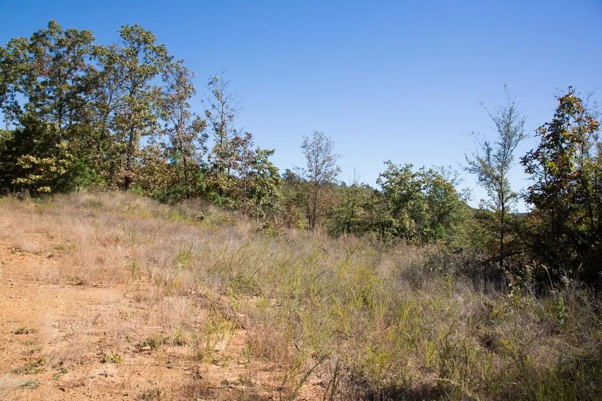 Decorative background for Stone Creek Phase I Tract 173 image 6