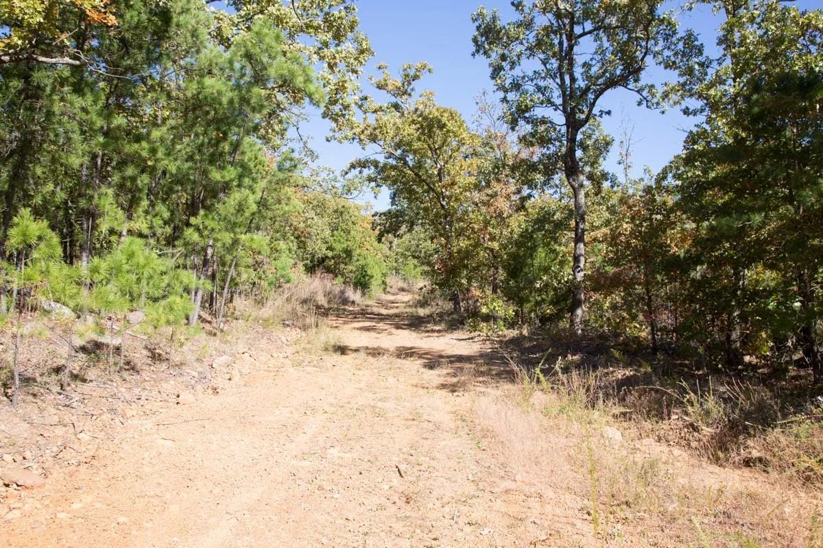 Decorative background for Stone Creek Phase I Tract 173 image 8