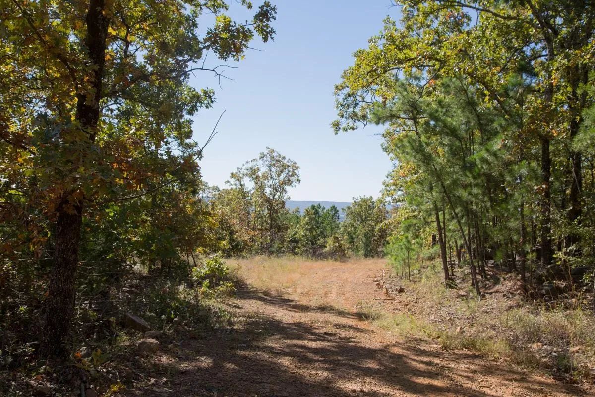 Decorative background for Stone Creek Phase I Tract 173 image 11