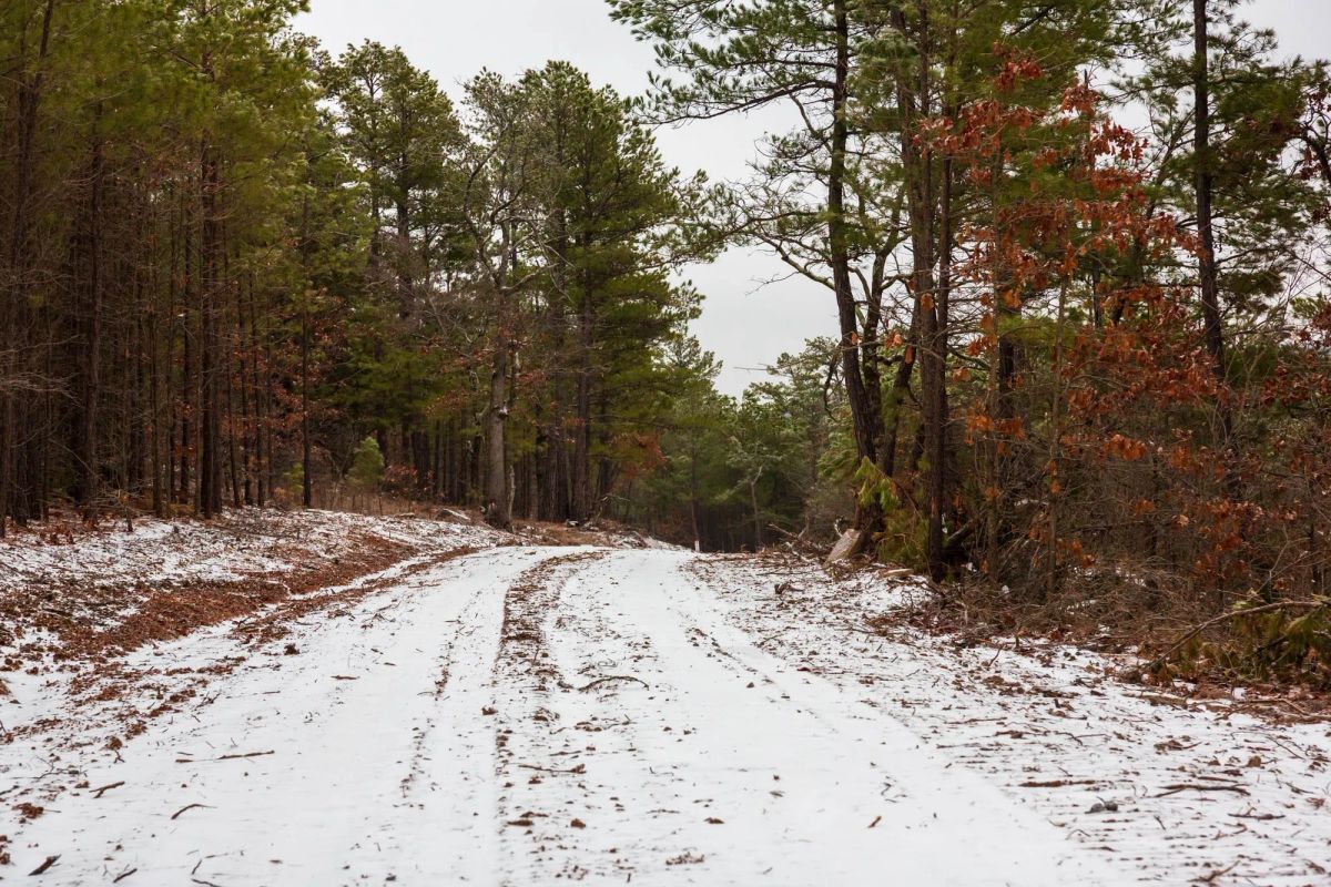 Decorative background for Stone Bridge Phase IV Tract 254 image 9