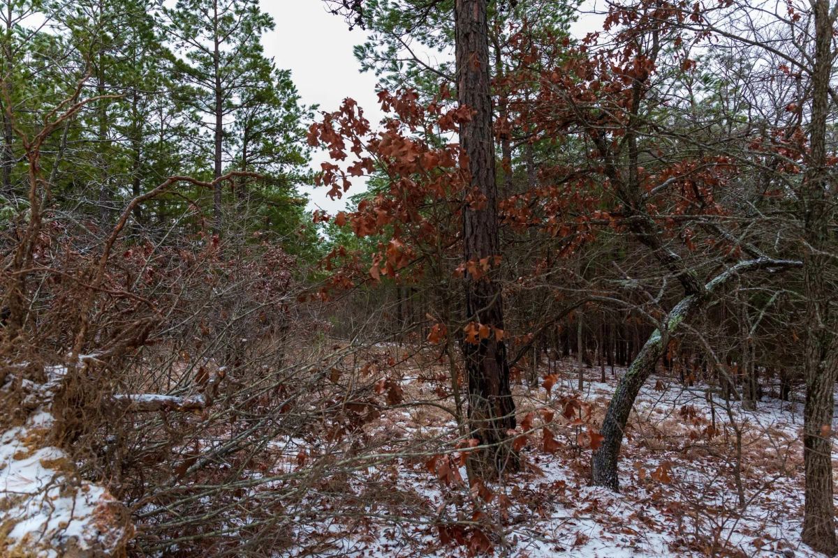 Decorative background for Stone Bridge Phase IV Tract 254 image 11
