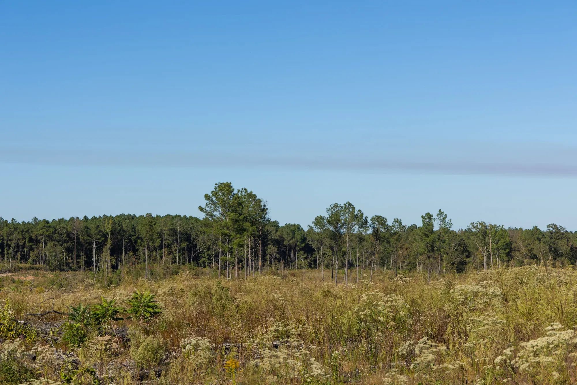 Meyer’s Ridge Tract 10 in Attala County, MS