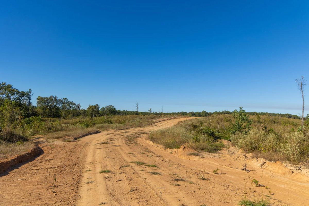 Decorative background for Meyer’s Ridge Tract 10 image 7