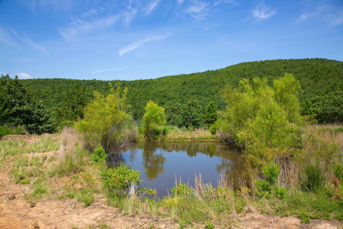 Tyler Stone Ranch Tract 81 - Main image