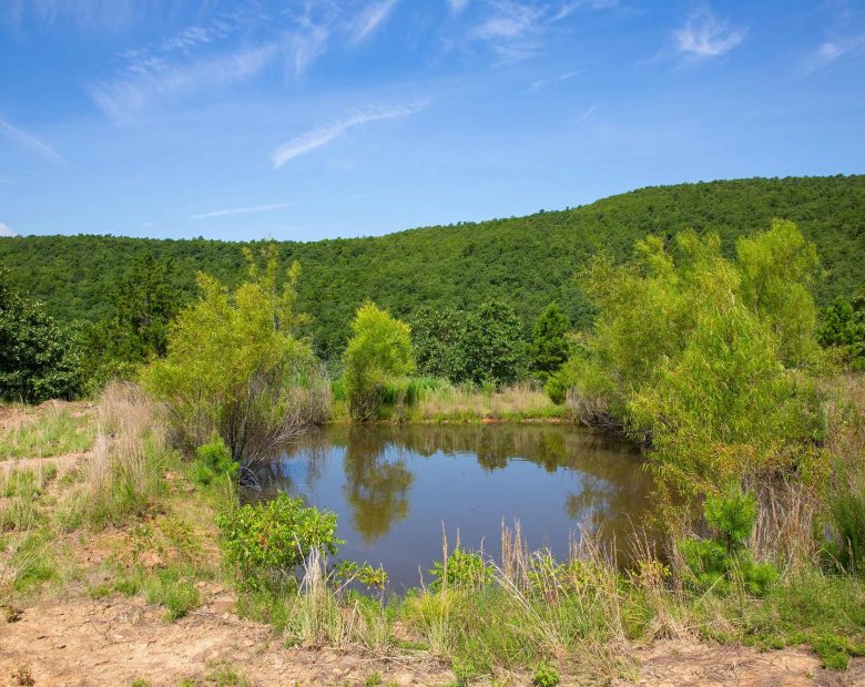 Tyler Stone Ranch Tract 81 in Le Flore County, OK
