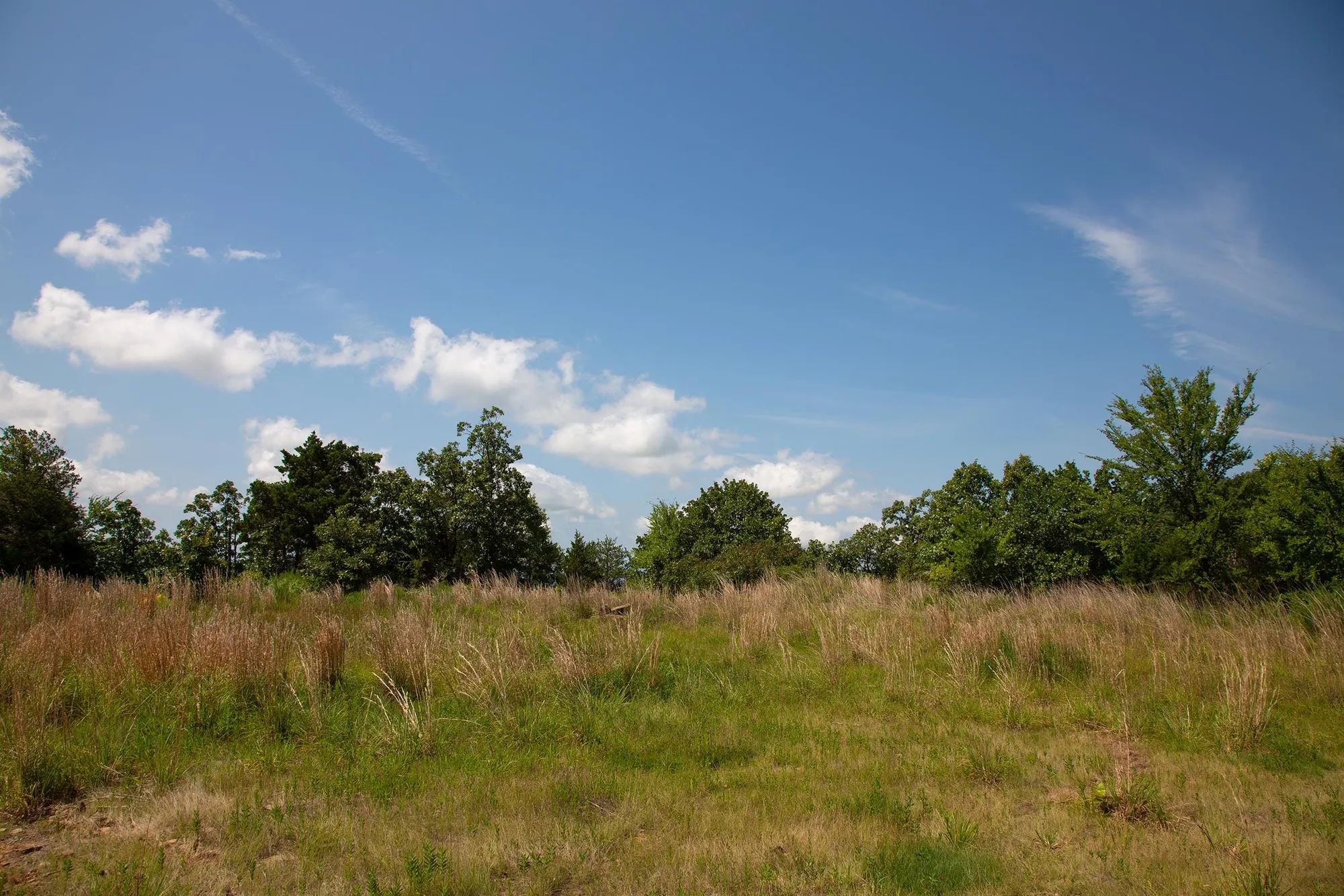 Tyler Stone Ranch Tract 81 in Le Flore County, OK