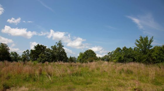 Tyler Stone Ranch Tract 81 in Le Flore County, OK