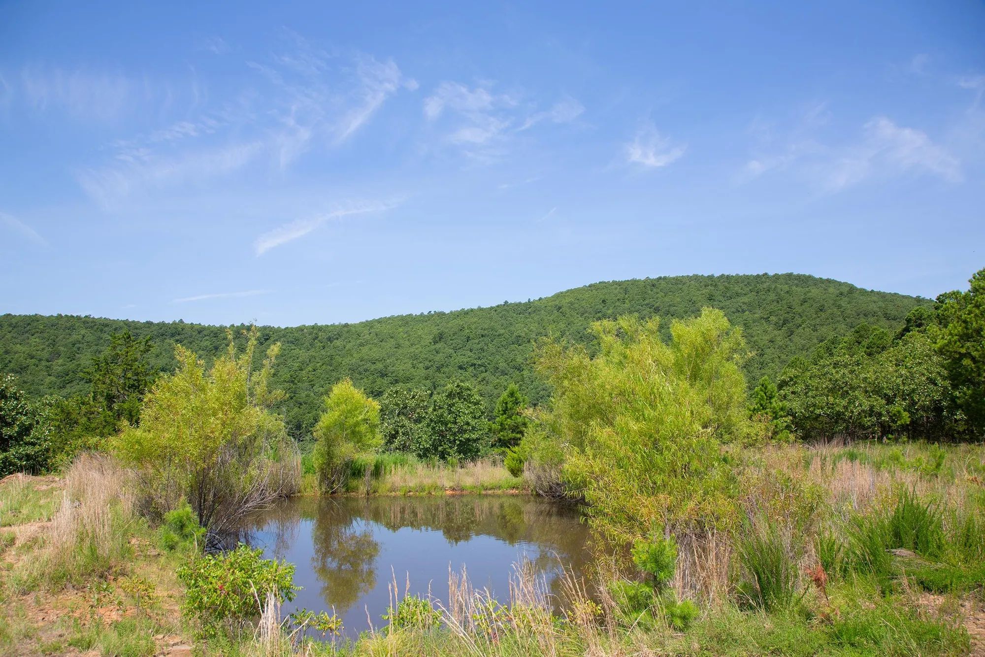 Tyler Stone Ranch Tract 81 in Le Flore County, OK