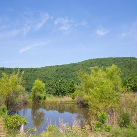 Tyler Stone Ranch Tract 81 in Le Flore County, OK