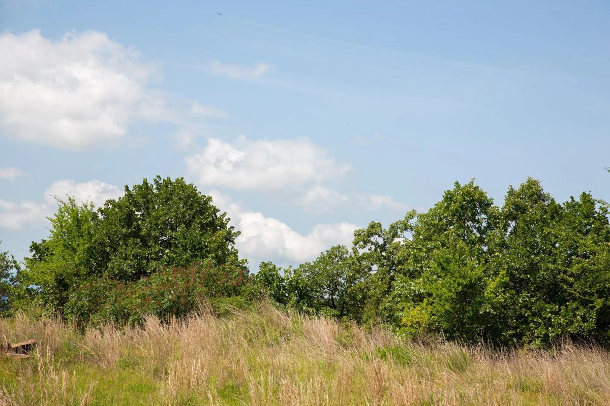 Decorative background for Tyler Stone Ranch Tract 81 image 5