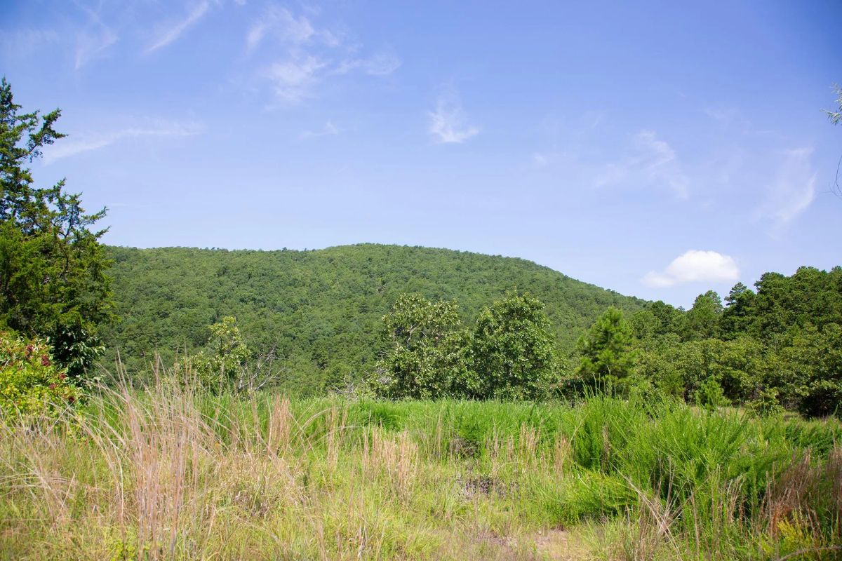 Decorative background for Tyler Stone Ranch Tract 81 image 10