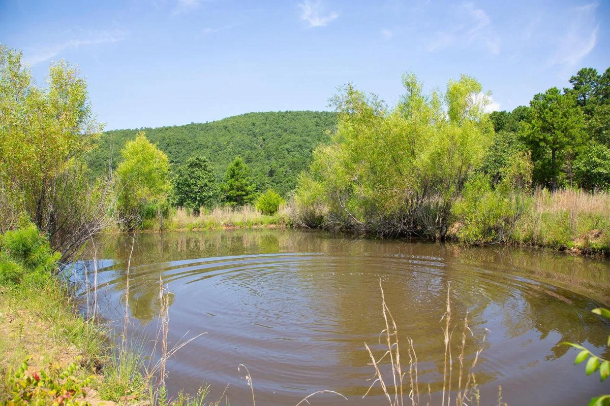 Decorative background for Tyler Stone Ranch Tract 81 image 11